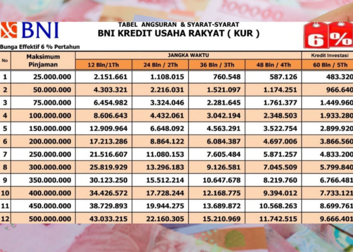 KUR BNI 2025: Pinjaman Hingga Rp500 Juta, Cicilan Ringan, Tenor Panjang, dan Bunga Super Rendah!