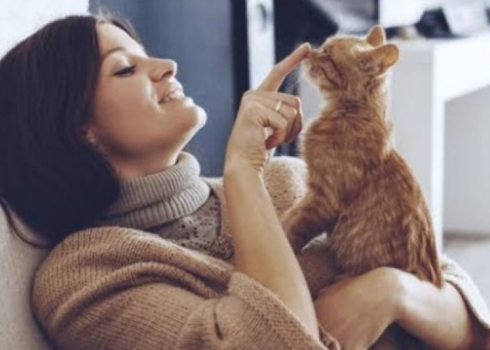Memelihara Kucing Berpengaruh Positif Bagi Kesehatan, Mitos atau Fakta? 