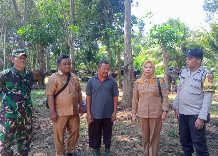 Camat Berikan Imbauan Ini Kepada Penjual Hewan Kurban