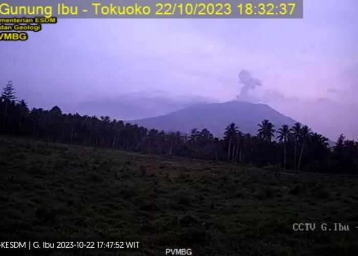 Gunung Api Ibu Meletus, Lontarkan Abu Vulkanik Setinggi 600 Meter, Begini Penampakannya