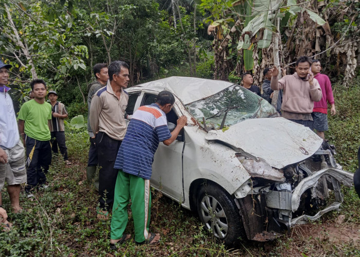 Diduga Ngantuk, Mobil Ayla Dikendarai Warga Desa Kancing Nyungsep