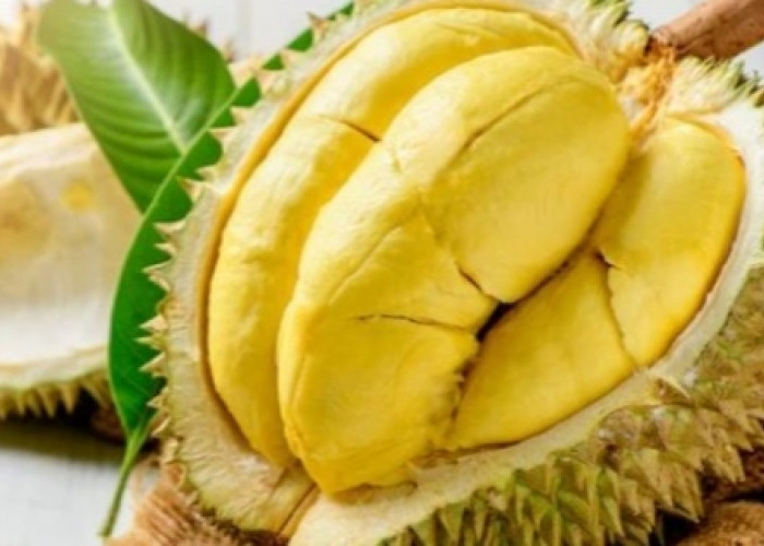 Lima Manfaat Konsumsi Buah Durian Bagi Kesehatan yang Tak Disangka-sangka