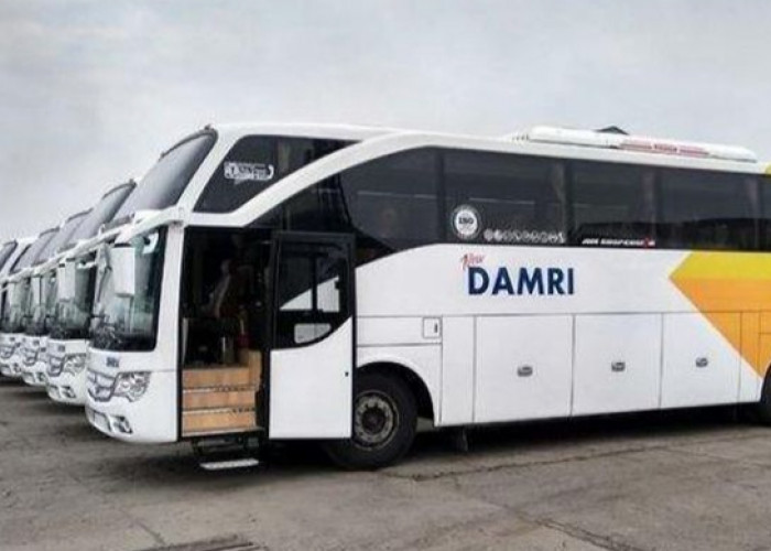 Sambut Hari Perhubungan Nasional 2024, Bus Damri Berikan Promo Spesial Beli 3 Tiket Gratis 1