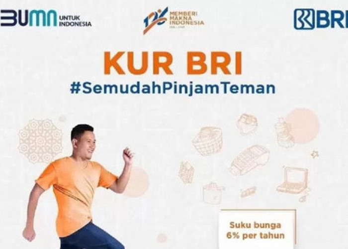 KUR BRI 2025: Ajukan Pinjaman hingga Rp500 Juta, Syarat Gampang, Cicilan Mulai Rp1 Jutaan!
