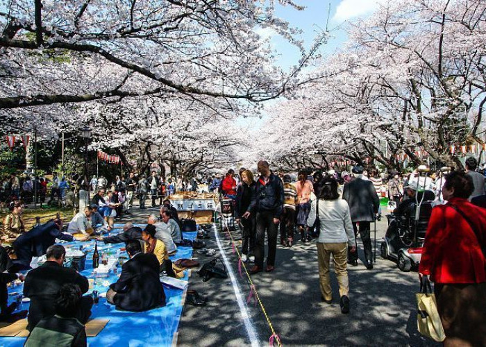 Destinasi Populer di Tokyo, Pesonanya Bikin Wisatawan Kembali Datang!
