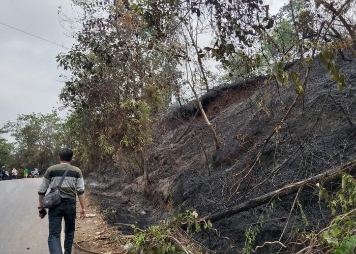 Puntung Rokok Diduga Kembali Berulah, Lahan di Bengkulu Tengah Ludes Terbakar