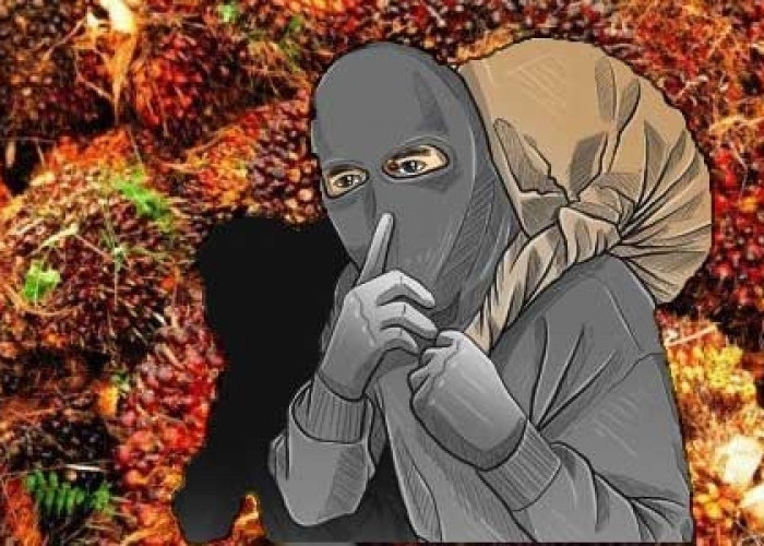 Ninja Sawit Kian Meresahkan, Petani Mengaku Rugi hingga Satu Hektare