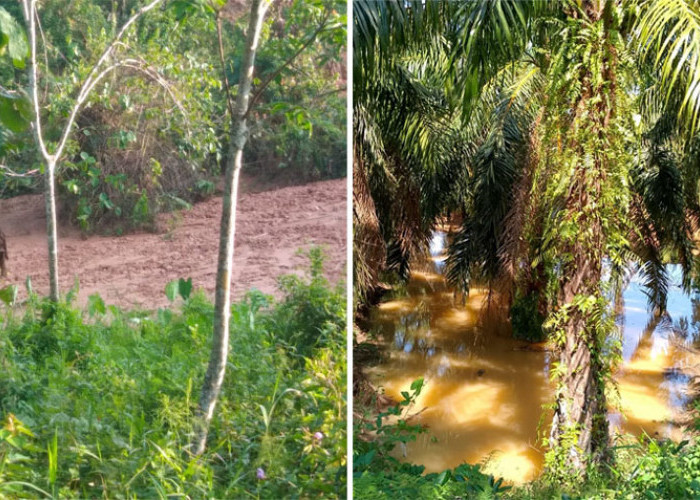 Diduga Tanpa Izin Timbun 15 Hektare Lahan Warga Linggar Galing, Pemdes dan Warga Blokir Alat Berat Perusahaan