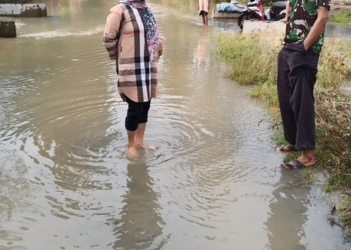 Sempat Capai Pinggang, Banjir di Desa Sidodadi Surut, Ini Penampakannya