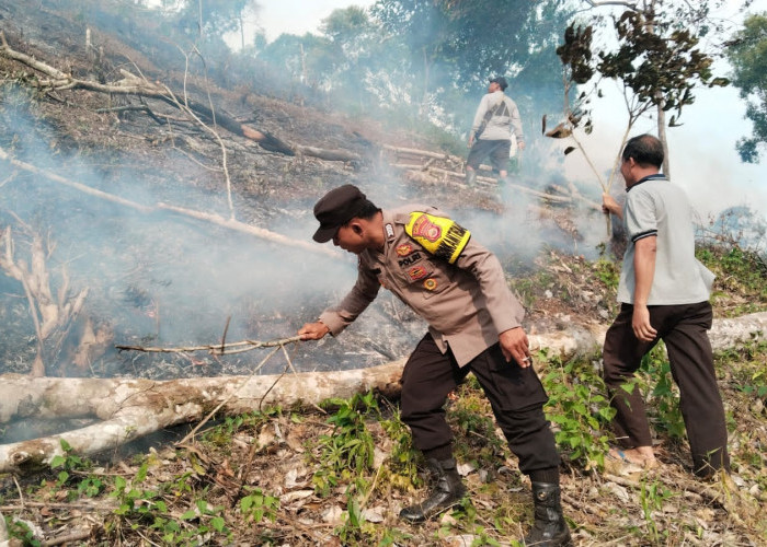 BREAKING NEWS: 2 Hektare Lahan Kebun Sawit Ludes Terbakar