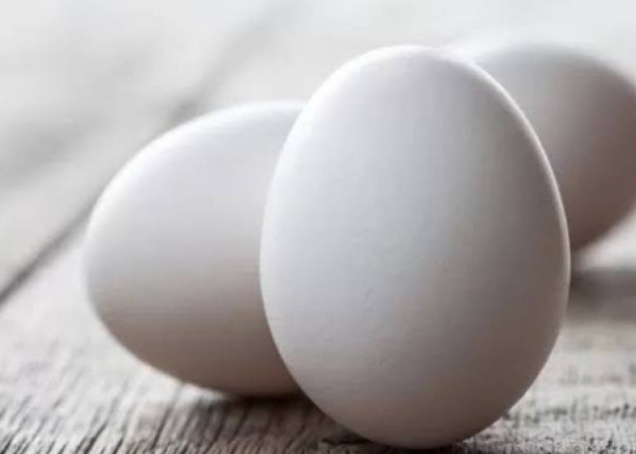 Benarkah Telur Ayam Kampung Lebih Sehat dan Bergizi Ketimbang Telur Biasa, Cek Faktanya 