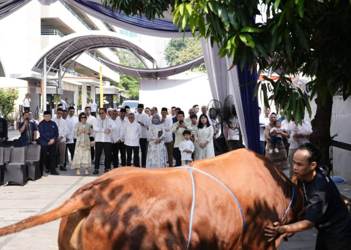 Semangat Berbagi Idul Adha 1446 H, Bapekis dan Karyawan BRI Salurkan 961 Hewan Kurban untuk Masyarakat