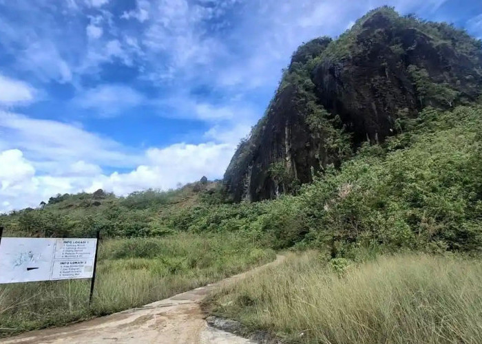 Pemagaran Bukit Kandis Tuai Protes, Penggiat Alam Soroti Legalitas Lahan