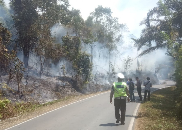 Karhutla di Bengkulu Tengah Mulai Marak, Lahan Dua Desa Terdampak