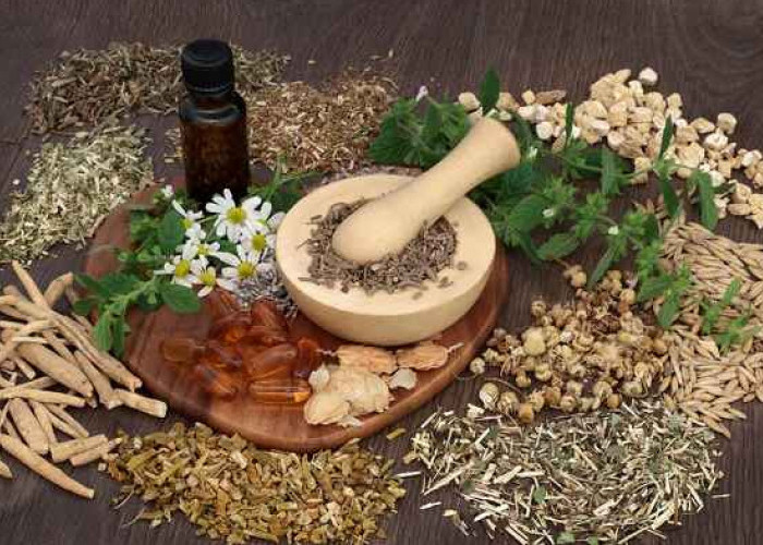 5 Tanaman Herbal yang Ampuh untuk Menyingkirkan Rasa Sakit, Solusi Alami Kesehatan Tubuh