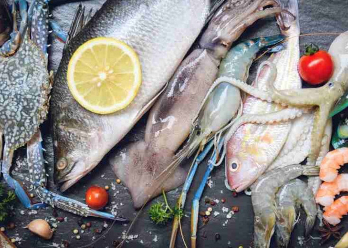 Dengan Kandungan Nutrisi yang Melimpah, Ikan Laut Memiliki Segudang Manfaat Bagi Kesehatan Anak Muda