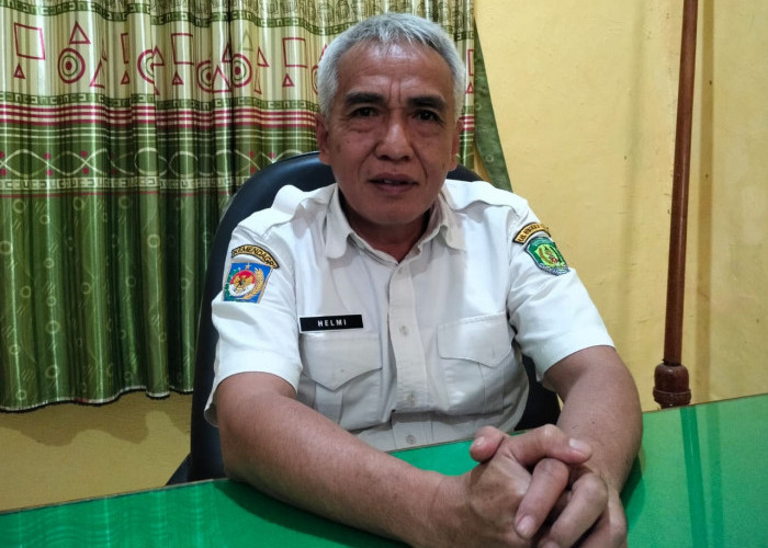 Ingat! Ada Larangan Petani Sawit Gunakan Pupuk Subsidi, Diatur Dalam Permentan