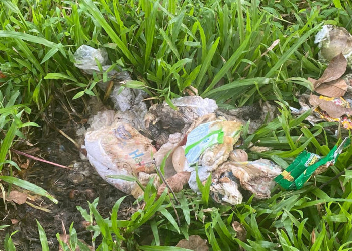 DLH Temukan Tumpukan Pampers di Jalan Sepi, Ini Dampaknya Menurut Tenaga Kesehatan