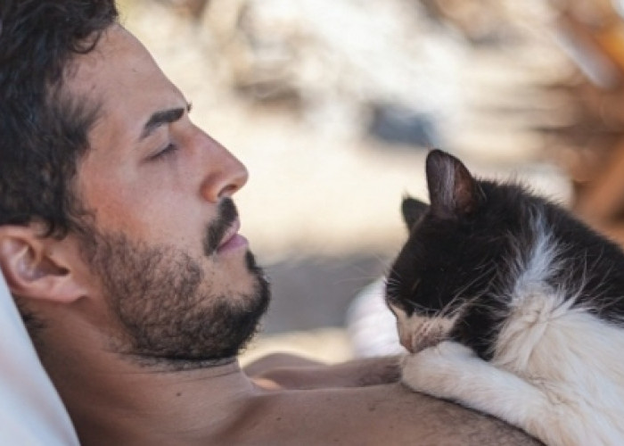 Berikut Alasan Kenapa Pria Pecinta Kucing adalah Pasangan Idaman untuk Kamu, ya Kamu! 