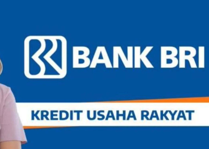 Simak Syarat dan Cara Ajukan KUR BRI 2025 untuk UMKM, Bunga Rendah!