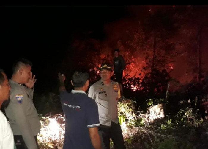 Api Karhutla Membara Lagi, Satu Setengah Hektare Lahan di Bengkulu Tengah Terdampak