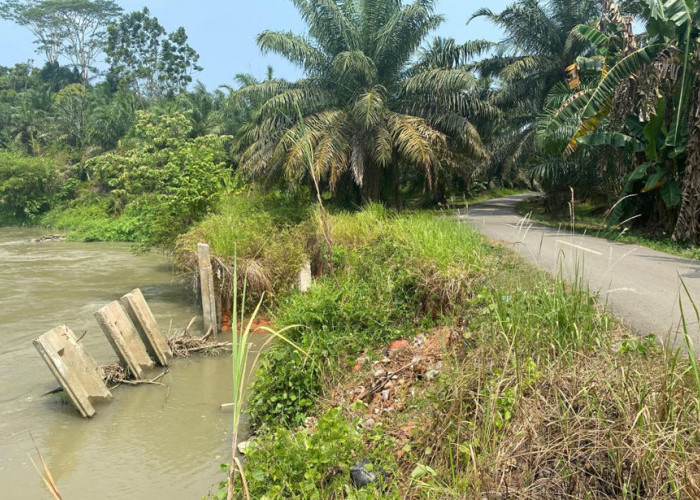 Jalan Paku Haji Terancam Gerusan Sungai, Camat Dorong Proposal CSR ke PLTA Musi