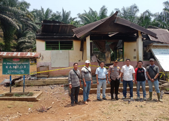 Kantor Divisi 4 Perusahaan Kelapa Sawit di Bengkulu Tengah Ludes Dilalap Si Jago Merah