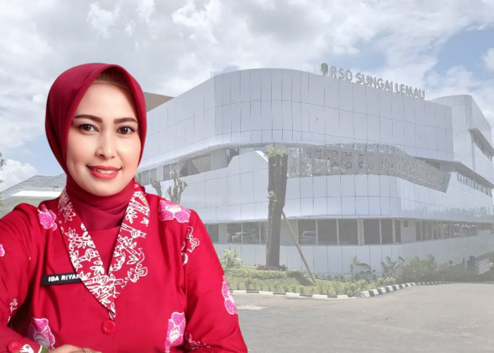 Meski Bukan Tenaga Medis, Direktur Baru RSD Sungai Lemau Beberkan Visi Jadikan Rumah Sakit Rujukan Terdepan