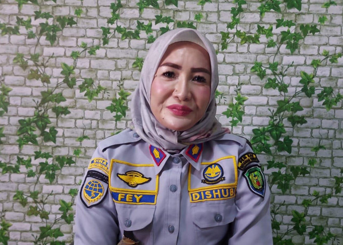 Retribusi Parkir di Bengkulu Tengah Ditarget Rp62,2 Juta, Dishub Ingatkan Pengendara Minta Karcis
