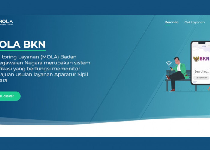 Simak! Cara Cek Penetapan NIP/NI CPNS dan PPPK Melalui Mola BKN