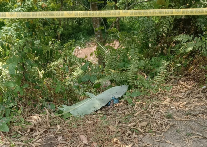 Heboh! Warga Padang Ulak Tanjung Temukan Jasad Bayi di Pinggir Jalan