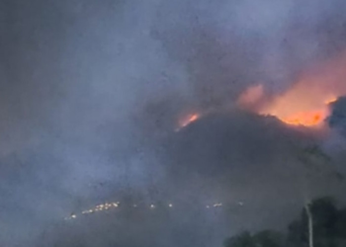 Penampakan Kengerian Kebakaran di Gunung Merbabu, Luasan Hutan dan Lahan yang Terbakar Mencapai 489,07 Hektare