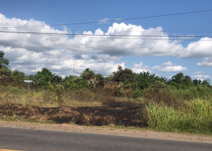 Lahan Kosong di Talang Empat Terbakar, Dugaannya Api dari