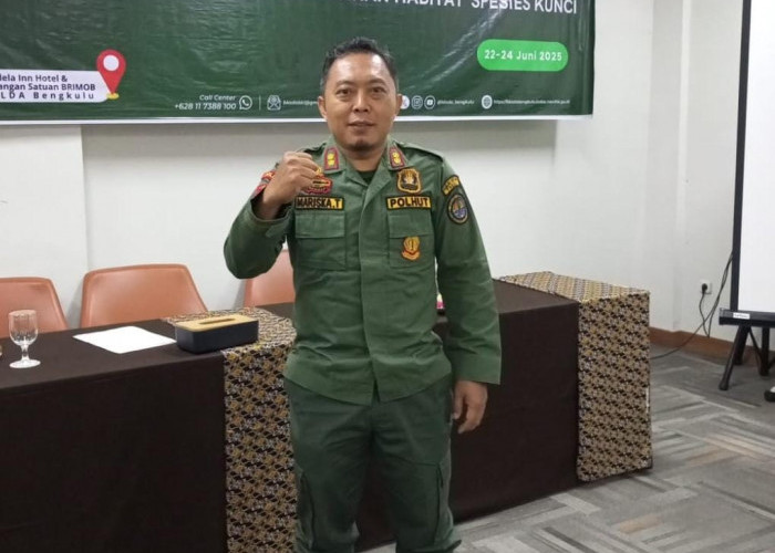 Polemik Hutan Buruh, IUP dan HPT di Bengkulu Tengah, BKSDA Minta Verifikasi Bersama