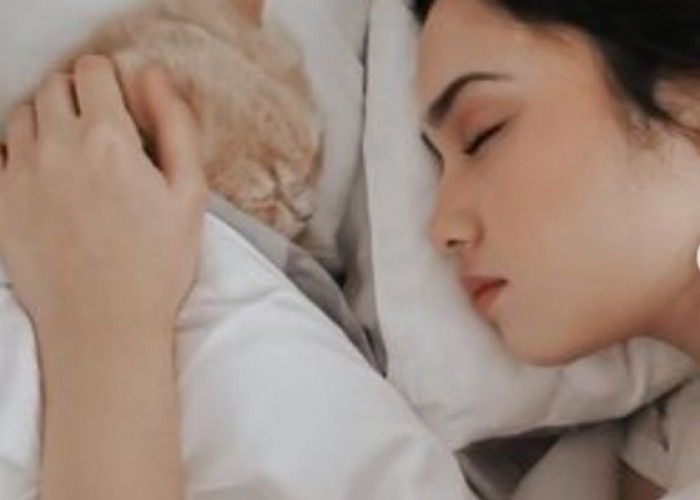 Potret Syifa Hadju yang Masuk Nominasi 100 Wanita Tercantik di Dunia Bobo Bareng Kucing Peliharaan 