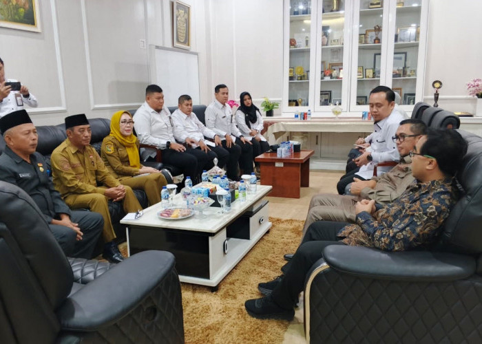 Pimpinan Ombudsman RI Audiensi dengan Pemkot Bengkulu, Perkuat Sinergi Tingkatkan Pelayanan Publik