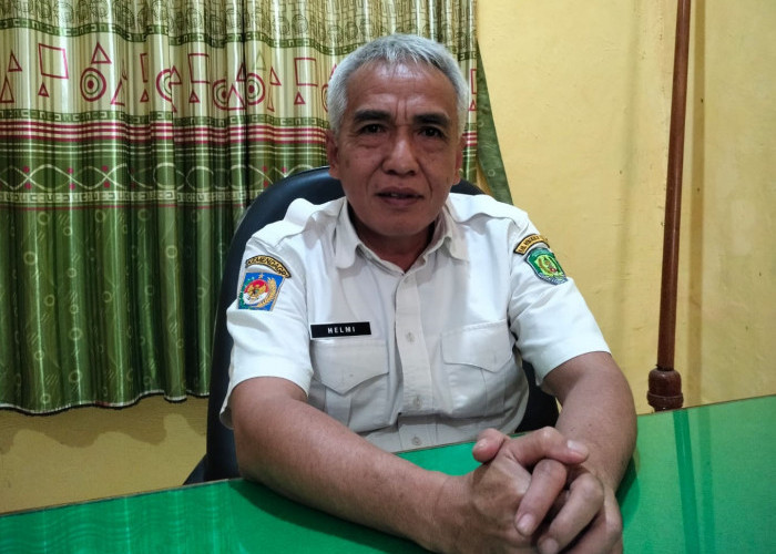 Harga Sawit Bengkulu Tengah Anjlok hingga Rp600 per Kg, Dinas Pertanian Turun Tangan