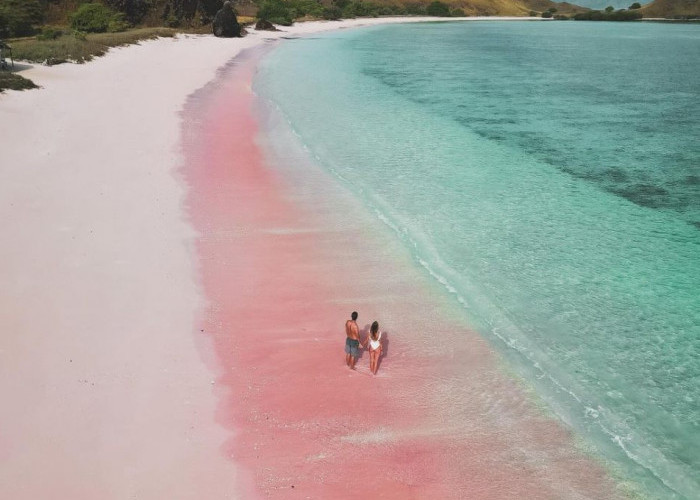 Pink Beach di Indonesia Masuk 10 Besar Pantai Terbaik Tahun 2024