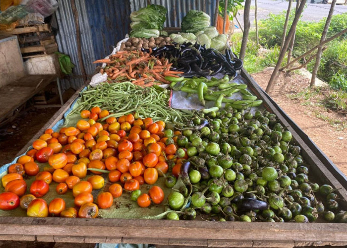 Memasuki Pertengahan Puasa, Harga Cabai Merah Turun Drastis, Ayam Potong Ikut Melemah