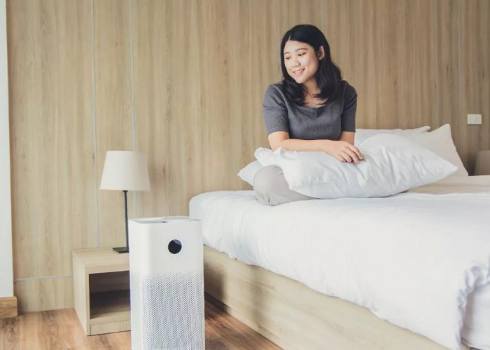 Ingin Udara Bersih? Simak 6 Tips Cerdas Memilih Air Purifier, Biar Gak Salah Beli