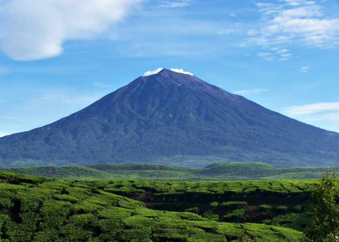 10 Spot Wisata Alam di Sumatera yang Wajib Dicoba, Pemandangannya Memukau!