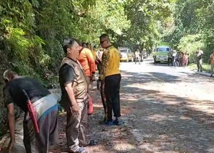Informasi Terkini, Evakuasi Tuntas, Akses Jalan Liku Sembilan Bengkulu Tengah Sudah Bisa Dilalui
