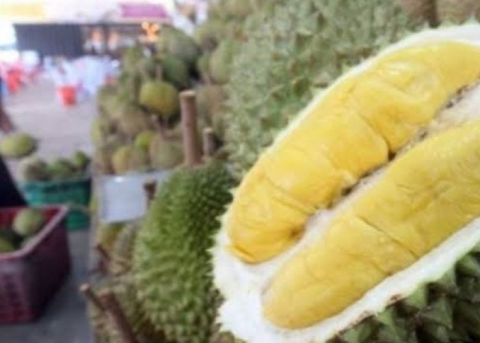 Wah Gak Nyangka Gaes, Buah Durian Ternyata Mengandung 18 Manfaat untuk Kesehatan