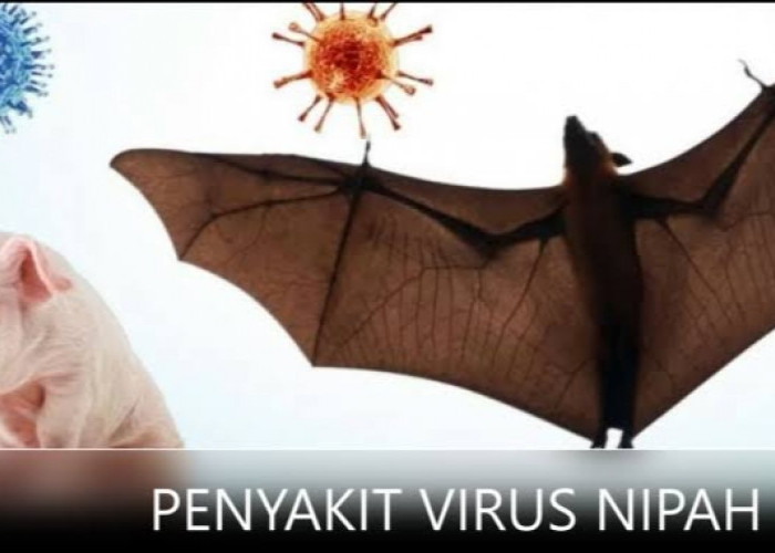 Virus Nipah Mengancam, Kementerian Kesehatan Terbitkan Edaran Minta Seluruh Pemangku Kepentingan Waspada