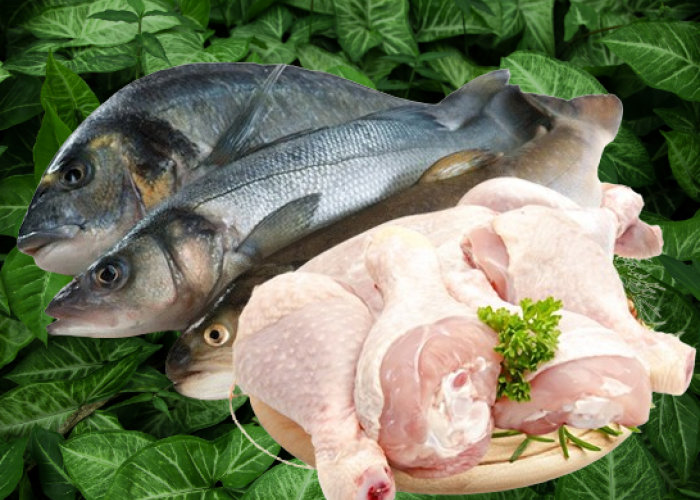 Sama-sama Mengandung Protein Hewani, Mana yang Lebih Sehat Dijadikan Sebagai Lauk, Ayam atau Ikan?