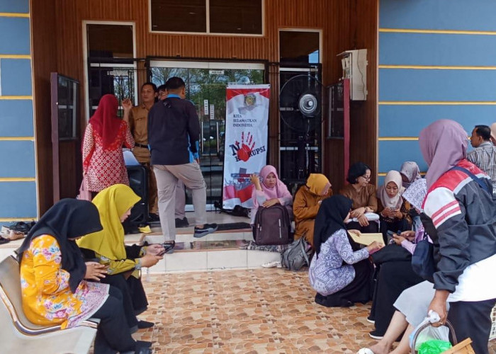 13 Pelamar Dinyatakan TMS, Hasil Seleksi Administrasi PPPK 2024 Diumumkan