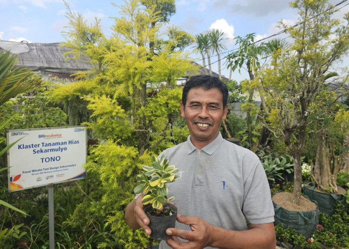 Sukses Jadi Mata Pencaharian Warga Sekitar, Ini Kisah Klaster Usaha Tanaman Hias Binaan BRI 