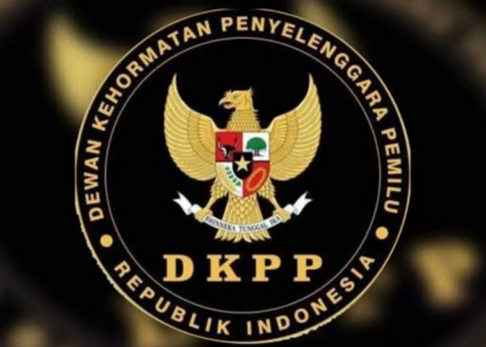 Menolak Lupa! Rekrutmen PPS Bengkulu Tengah Pernah Dilapor ke DKPP, Mantan Peserta Beri Pesan Menohok