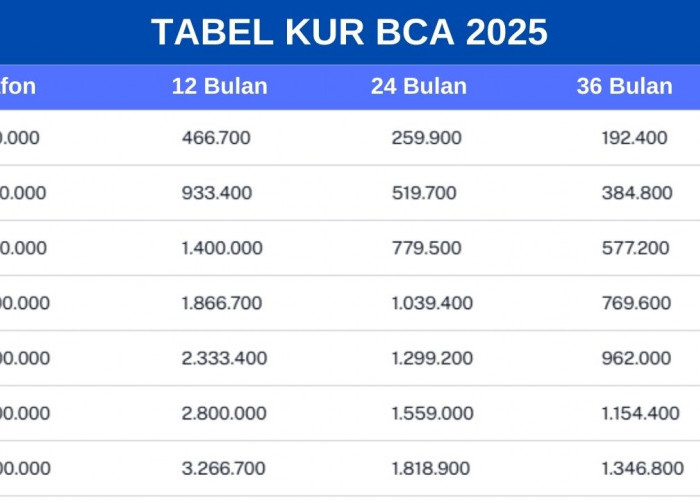 Cicilan KUR BCA 2025 Terendah untuk Plafon Rp100 Juta, Simak Tabel Angsurannya!