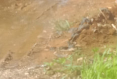 Air Perumda Genangi Pekarangan Rumah di Desa Linggar Galing, Warga Meradang!